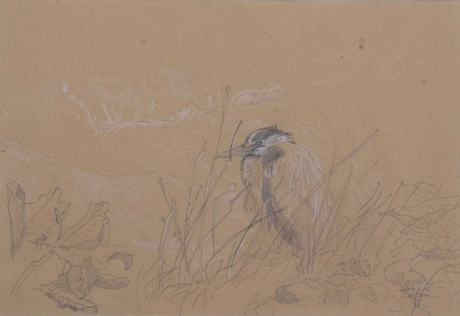 Stefan Bonsch (German, 20th/21st century), Heron in the reeds, pencil heightened in white on - Image 2 of 2