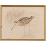 Richard Robjent (British, 20th century), "Great Snipe", watercolour, signed,14x17.5cm, framed and