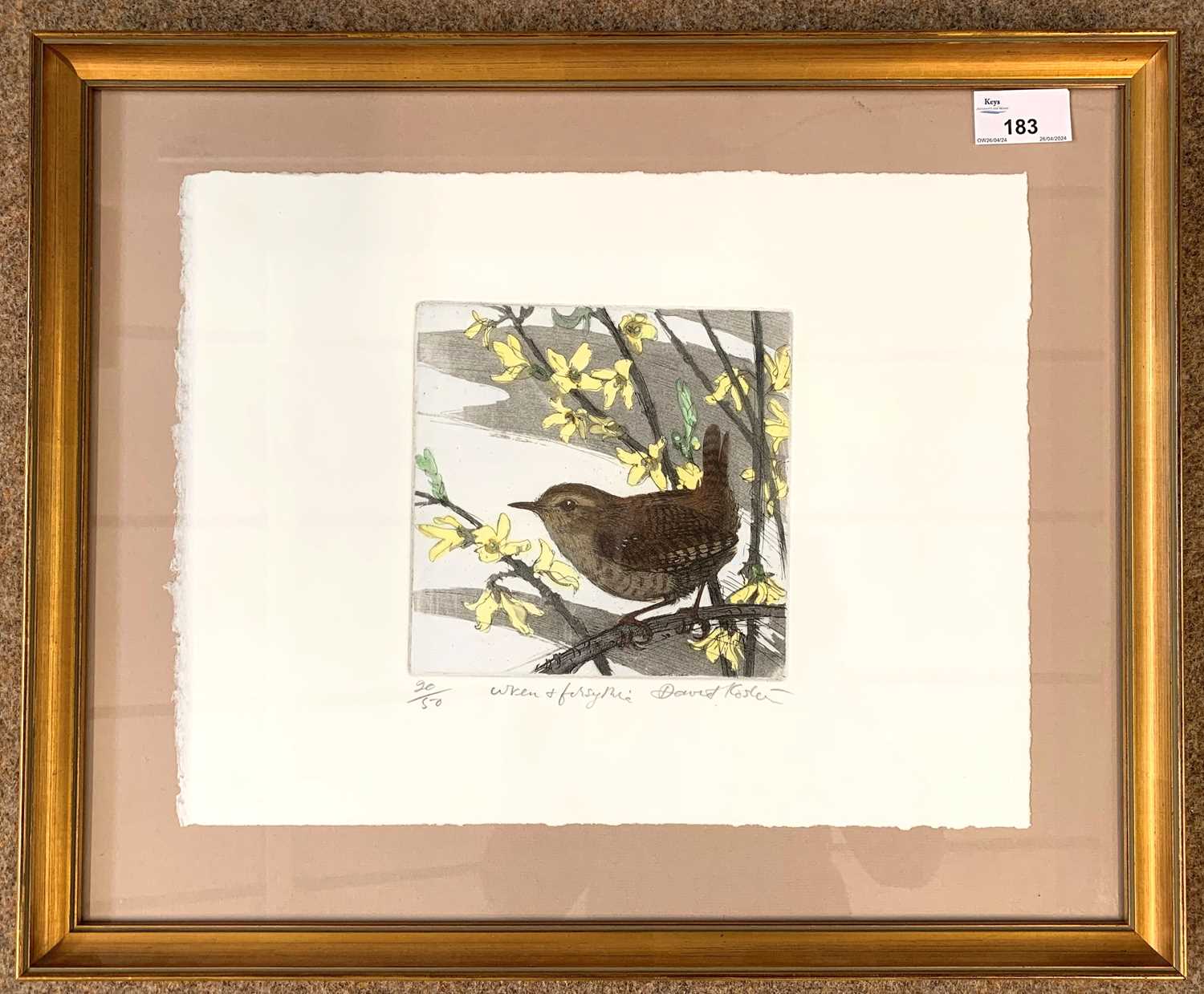 David Koster (British,1926-2014), 'Wren and Forsythia', etching with aquatint in colours, numbered