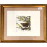 David Koster (British,1926-2014), 'Wren and Forsythia', etching with aquatint in colours, numbered