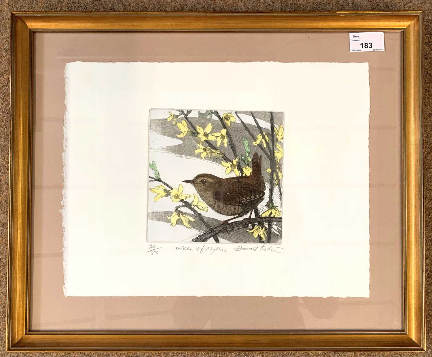 David Koster (British,1926-2014), 'Wren and Forsythia', etching with aquatint in colours, numbered - Image 2 of 2