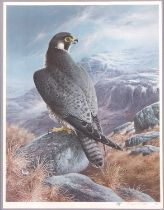 Raymond Watson (British, b.1935) The Peregrine Falcon, collotype print in colours, pencil vignette