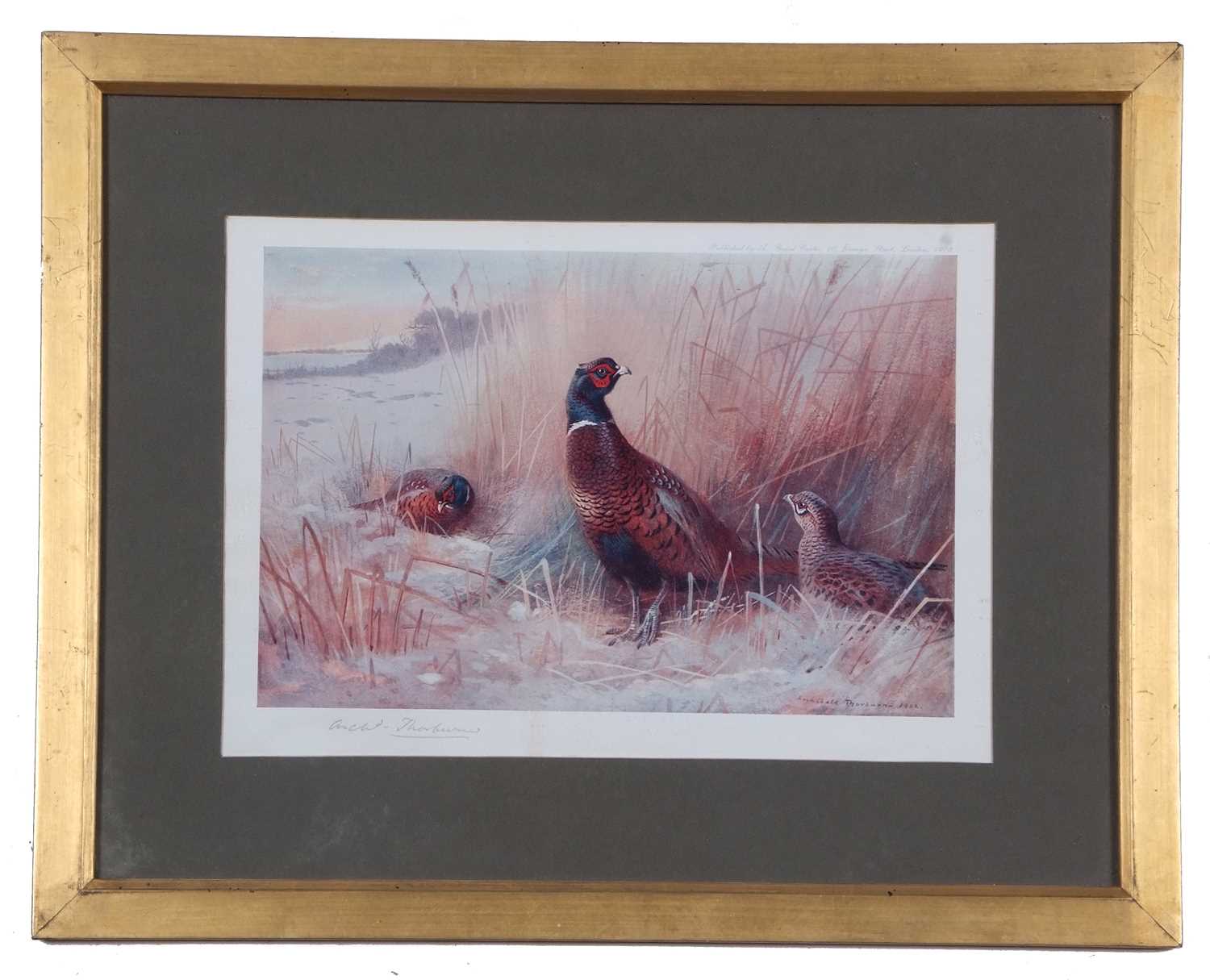 Archibald T. Thorburn (1860-1935), A set of twelve; Gamebirds, Wildfowl and Shorebirds, coloured - Image 22 of 25