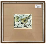 Robert Gilmor (British,1936-2022), Goldcrest, watercolour, signed in pencil,12.5x9cm,framed and