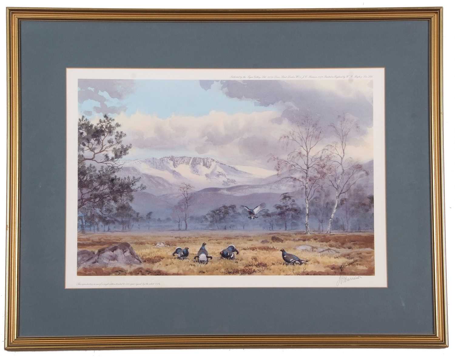 John Cyril Harrison (1898-1985), "Blackgame in the Cairngorms", coloured print, published by the