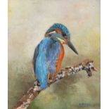Oil on board of Kingfisher by Roger Piper, June 1987, framed, 18x20cm.