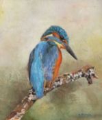 Oil on board of Kingfisher by Roger Piper, June 1987, framed, 18x20cm.