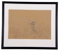 Stefan Bonsch (German, 20th/21st century), Heron in the reeds, pencil heightened in white on