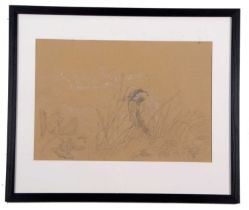 Stefan Bonsch (German, 20th/21st century), Heron in the reeds, pencil heightened in white on