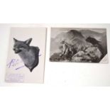 Taxidermy interest - Two Peter Spicer of Leamington Spa Postcards, to include one of Fox mask and