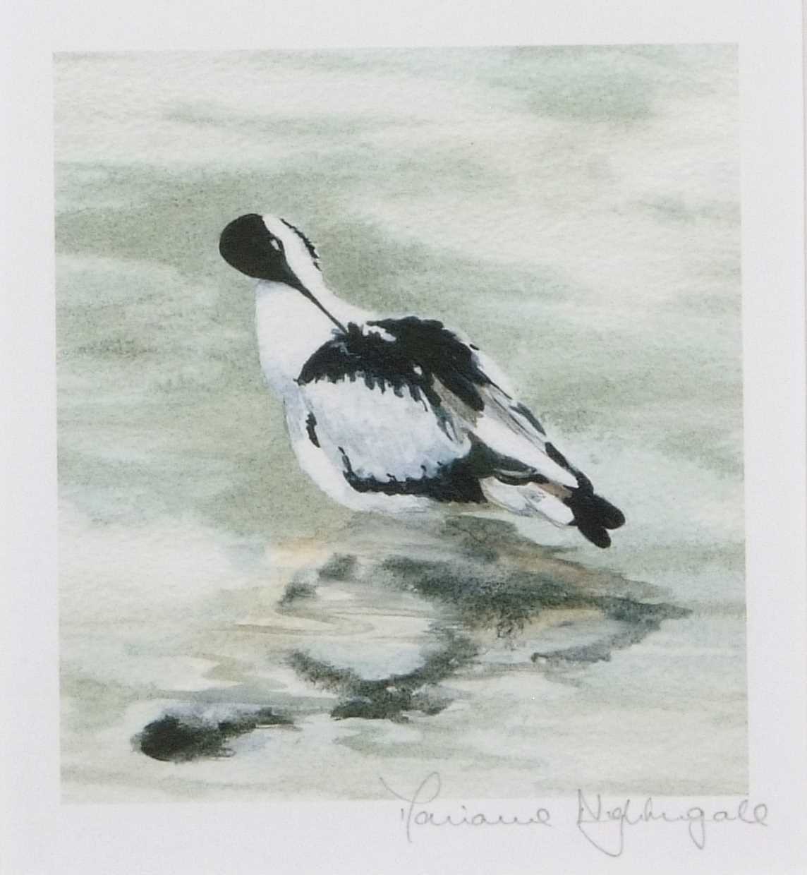 M.Nightingale: 'Avocet Preening', Emperor Penguin and chick, and 'Flamingo Foxtrot', lithographs - Image 6 of 7