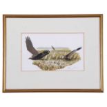 Hilary Burn (British, b.1946), Marsh Harriers, gouache, signed in pencil, 17.5x29cm, framed and