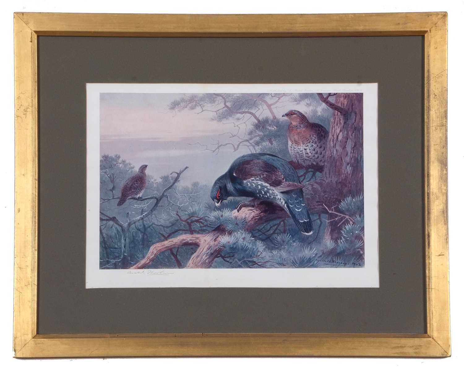 Archibald T. Thorburn (1860-1935), A set of twelve; Gamebirds, Wildfowl and Shorebirds, coloured - Image 21 of 25