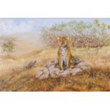 Edward Siddle (British, 20th / 21st century) Leopard, oil on canvas, signed, 50x76cm, framed.