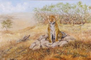 Edward Siddle (British, 20th / 21st century) Leopard, oil on canvas, signed, 50x76cm, framed.