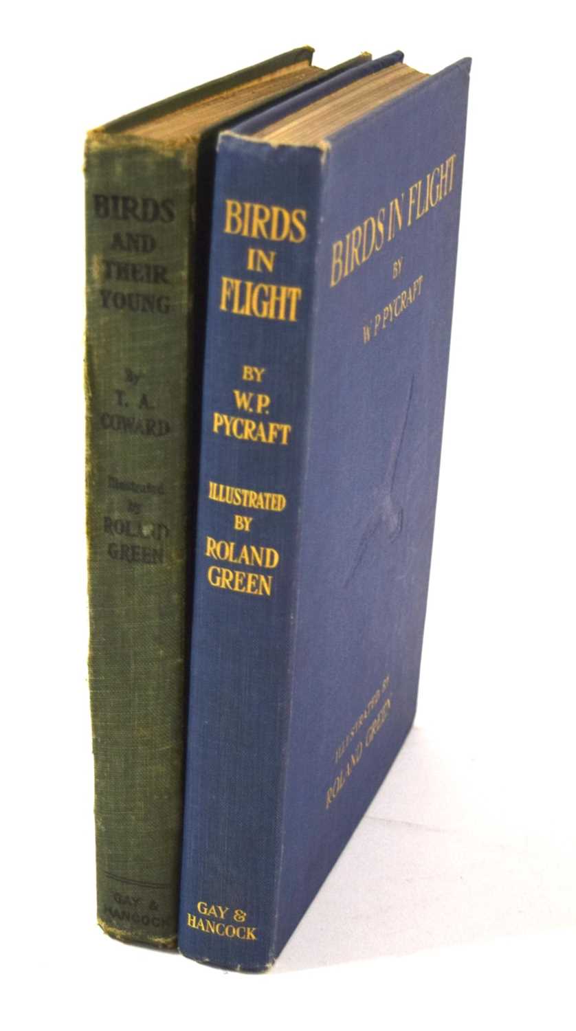 Ornithological book interest: Birds in Flight 1st edition 1922 by W.P.Pycraft. 12-mounted colour - Image 2 of 8