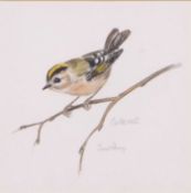 Janet Penny (British, 20th/21st century), Goldcrest, watercolour, signed,12.5x13cm, framed and