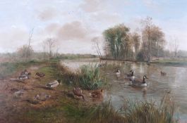 John G. Mace (British, 20th/21st century), Brent Geese and Ducks in a countryside landscape, oil
