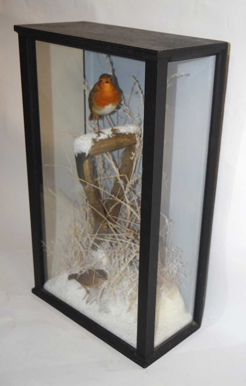 A very good quality 21st century taxidermy winter diorama of a Robin and Wren in winter diorama - Image 3 of 4