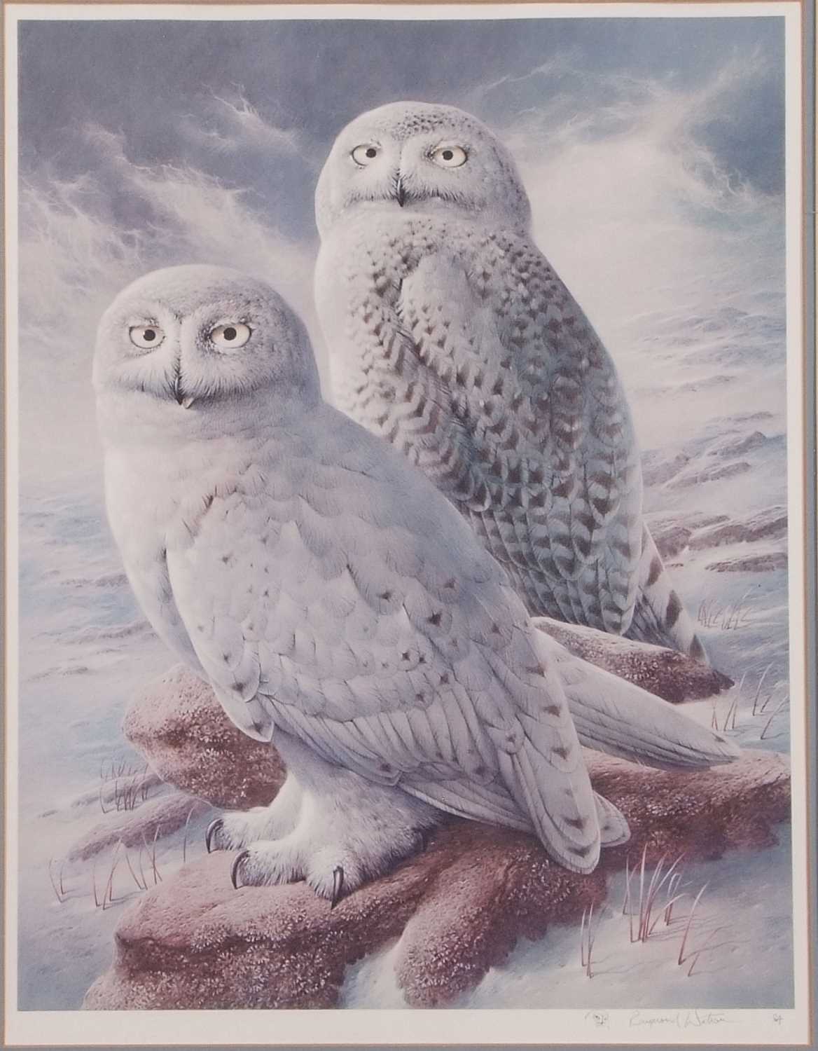 Raymond Watson (British, b.1935), The Snowy Owl, collotype print in colours, pencil vignette and - Image 2 of 2