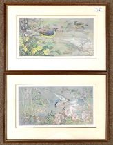 Eric Arnold Roberts Ennion (1900-1981), Grey Wagtails and Red Backed Shrike, a pair of coloured