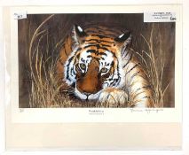 M Nightingale: 'Watchful Eyes', limited edition lithograph in colours, numbered 3/500 in pencil,