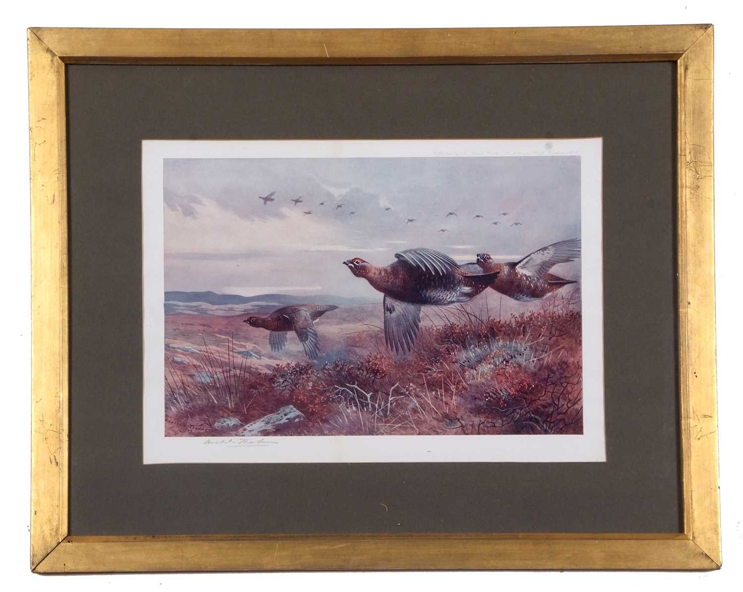 Archibald T. Thorburn (1860-1935), A set of twelve; Gamebirds, Wildfowl and Shorebirds, coloured - Image 24 of 25