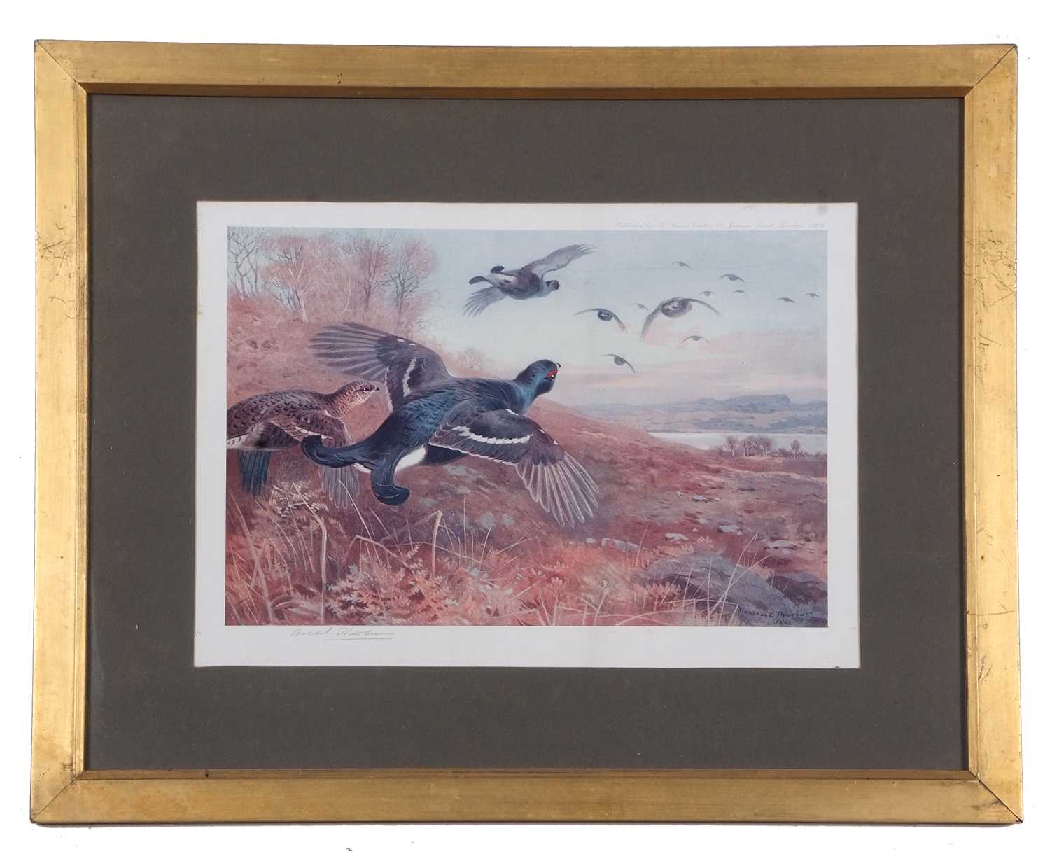 Archibald T. Thorburn (1860-1935), A set of twelve; Gamebirds, Wildfowl and Shorebirds, coloured - Image 23 of 25
