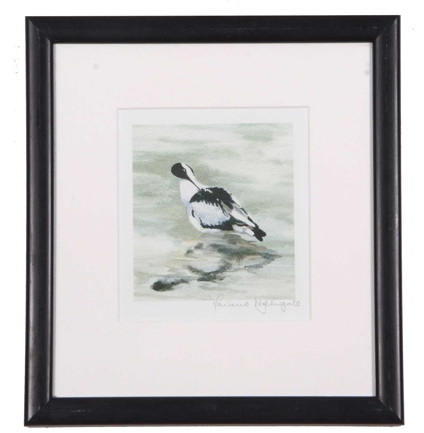 M.Nightingale: 'Avocet Preening', Emperor Penguin and chick, and 'Flamingo Foxtrot', lithographs - Image 7 of 7