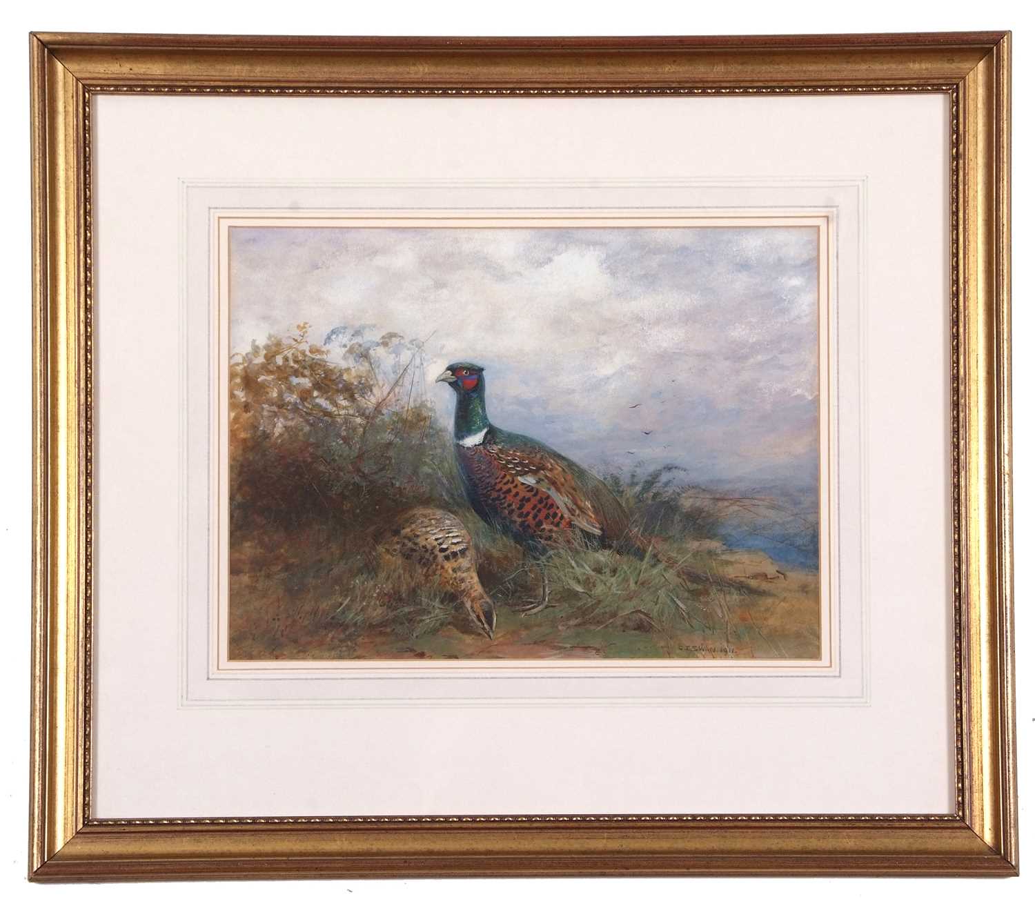 Cuthbert Edmund Swan (British,1870-1931), Ring Necked and Hen Pheasant, watercolour, signed and - Image 2 of 2