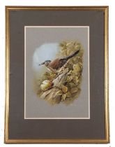 Terence James Bond (British, b.1946), 'Fieldfare', gouache, signed, 35x50cm, framed and glazed