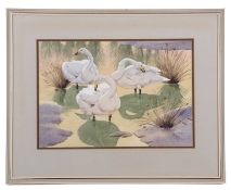 Noel William Cusa (British,1909-1990), Whooper Swans, watercolour and pencil, signed, 34x49cm,