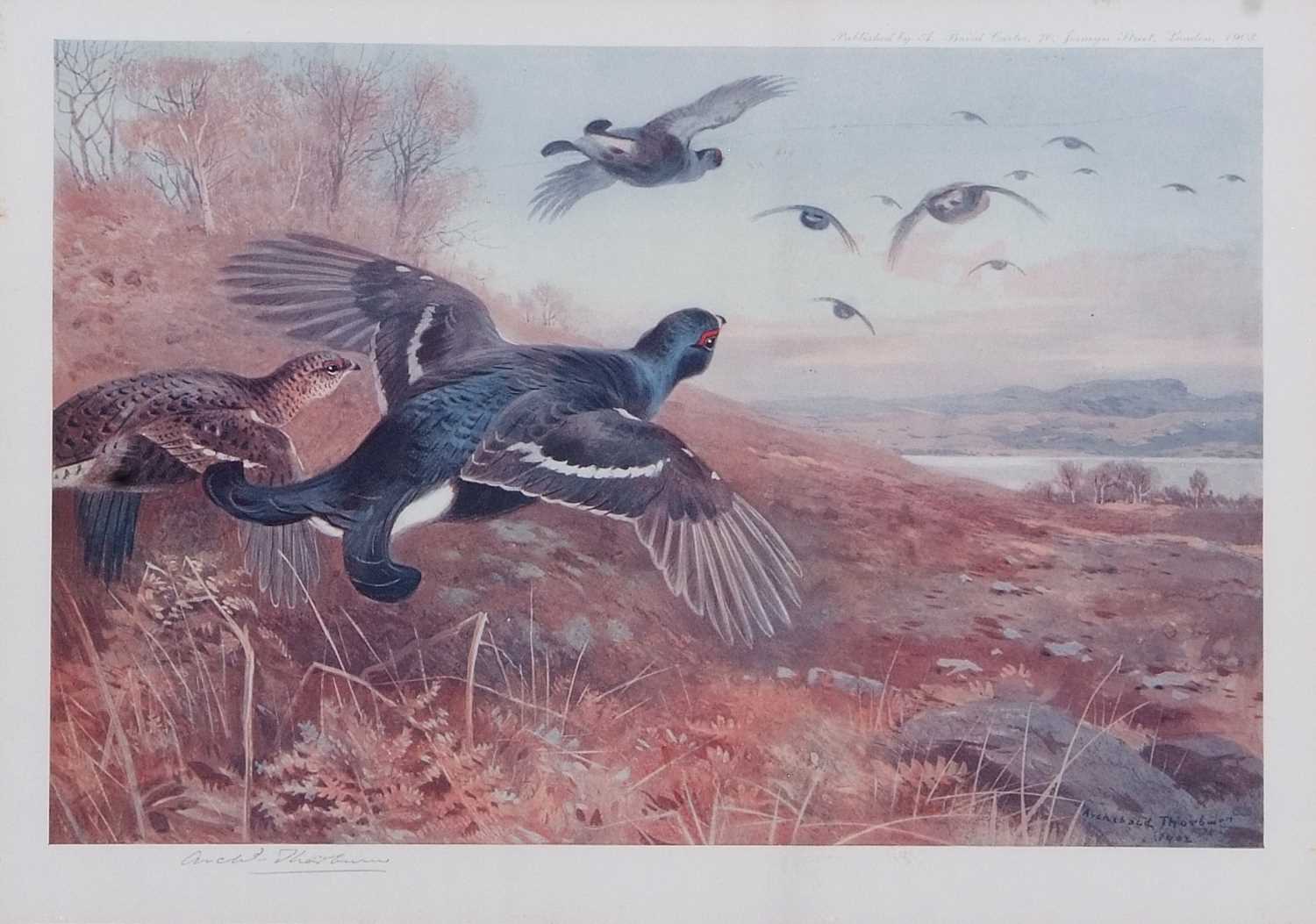 Archibald T. Thorburn (1860-1935), A set of twelve; Gamebirds, Wildfowl and Shorebirds, coloured - Image 13 of 25