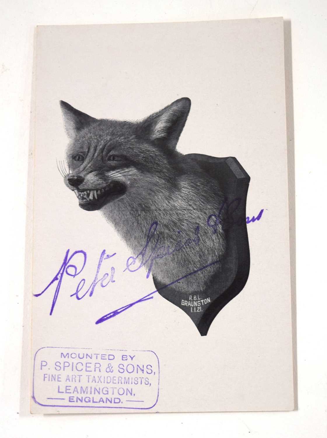 Taxidermy interest - Two Peter Spicer of Leamington Spa Postcards, to include one of Fox mask and - Image 2 of 5