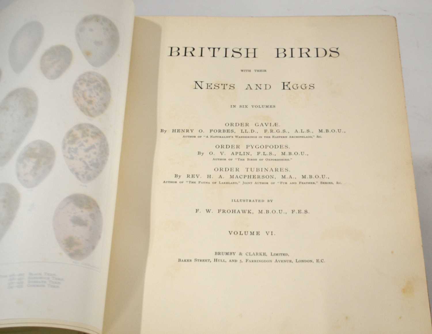 Ornithology interest: Complete volume 1-6 ornithological interest books "British Birds with their - Image 2 of 2