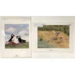M.Nightingale: 'Courting Redshanks' and 'Puffins', lithographs in colour, signed and artist stamped,