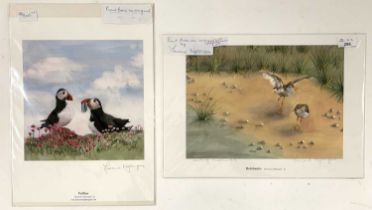 M.Nightingale: 'Courting Redshanks' and 'Puffins', lithographs in colour, signed and artist stamped,