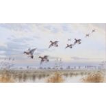 John Paley (British, 20th century), "Wigeon at St.Benets Abbey", watercolour, signed, 34x60cm,