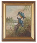 John G.Mace (British, 20th/21st century), Kingfishers, oil on board, monogrammed,19x24cm, framed.