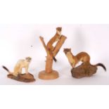 Quantity of three Modern Taxidermy Stoats (Mustela erminea) all sat on logs, examples by