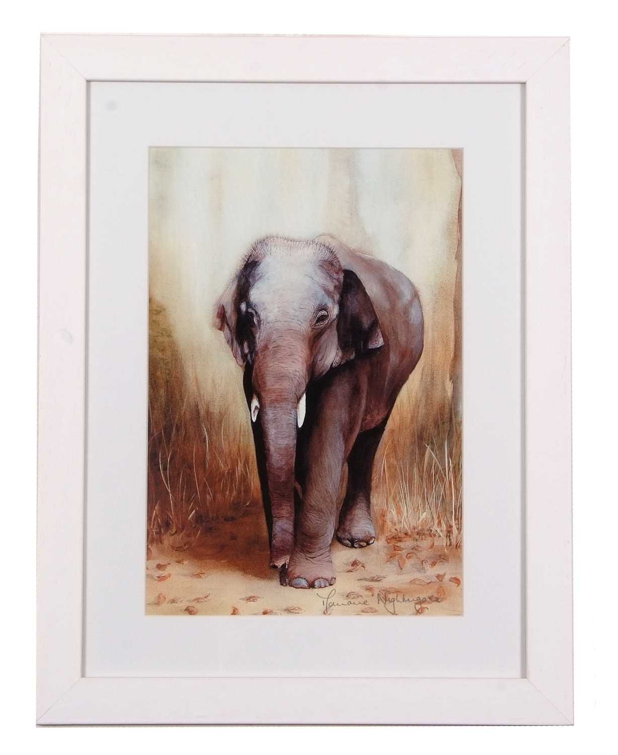 M. Nightingale: 'Rajan' retired logging elephant and baby elephant, lithographs in colours, unframed - Image 2 of 2