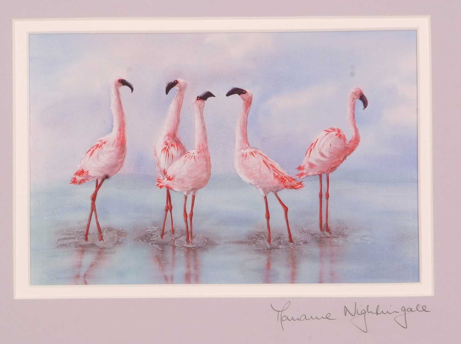 M.Nightingale: 'Avocet Preening', Emperor Penguin and chick, and 'Flamingo Foxtrot', lithographs - Image 5 of 7