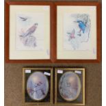 Frank Jarvis (British, 1939-2002), Peregrine Falcon and Kingfishers, limited edition lithographs,