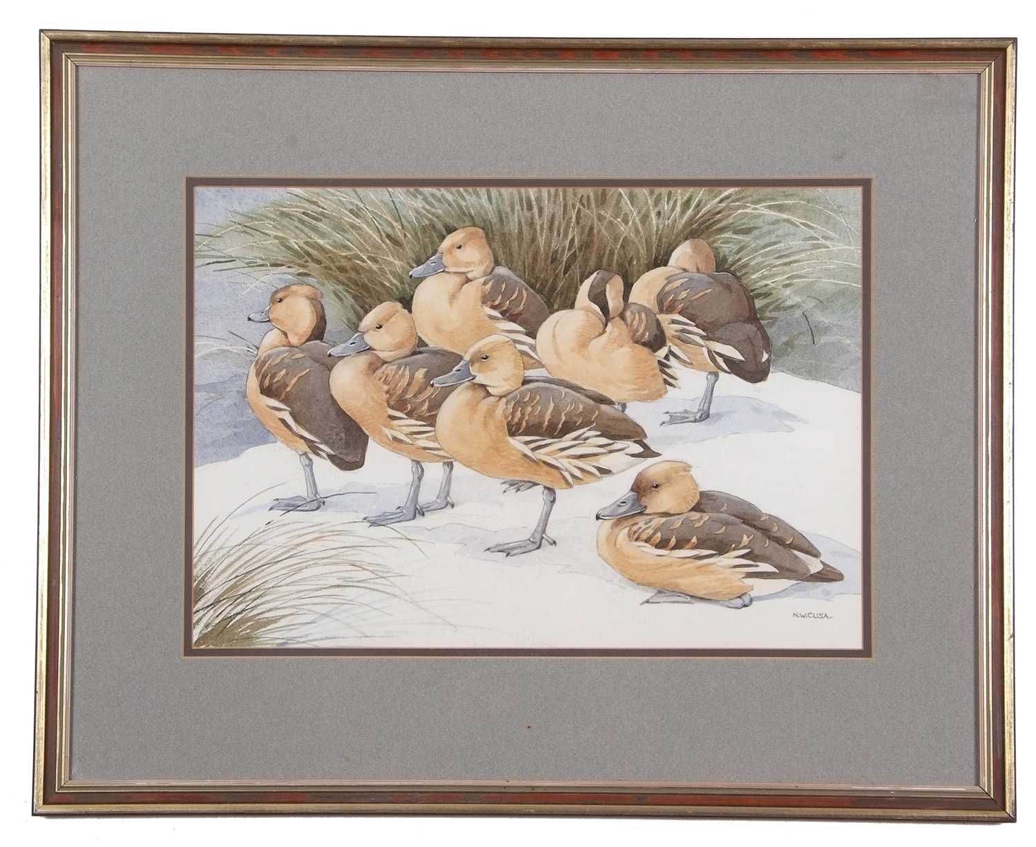 Noel William Cusa (British,1909-1990), Pochards, watercolour and pencil, signed, 33x48cm, framed and