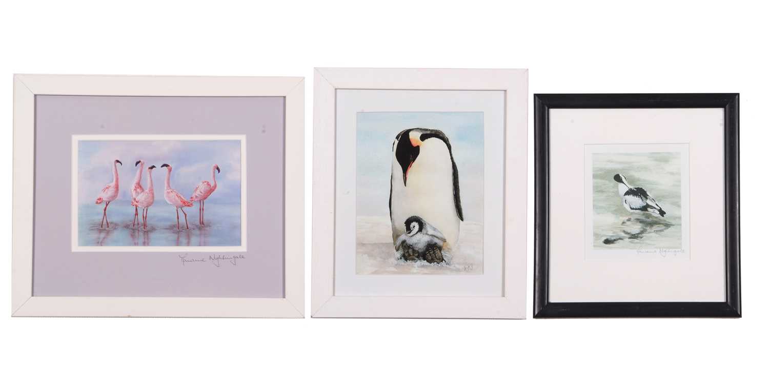 M.Nightingale: 'Avocet Preening', Emperor Penguin and chick, and 'Flamingo Foxtrot', lithographs