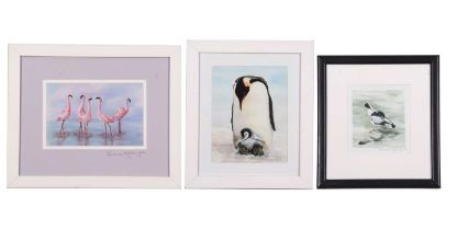 M.Nightingale: 'Avocet Preening', Emperor Penguin and chick, and 'Flamingo Foxtrot', lithographs