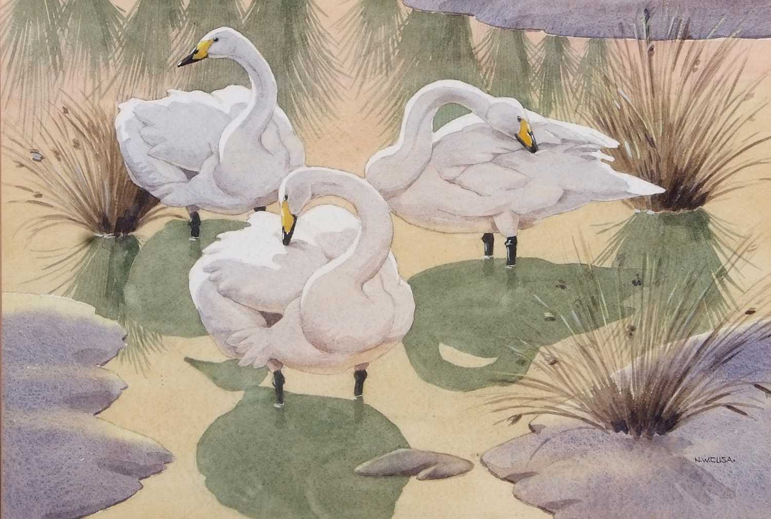 Noel William Cusa (British,1909-1990), Whooper Swans, watercolour and pencil, signed, 34x49cm, - Image 2 of 2