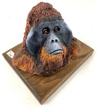 M Nightingale: Ceramic Sculpture: Head of an Orang Utan