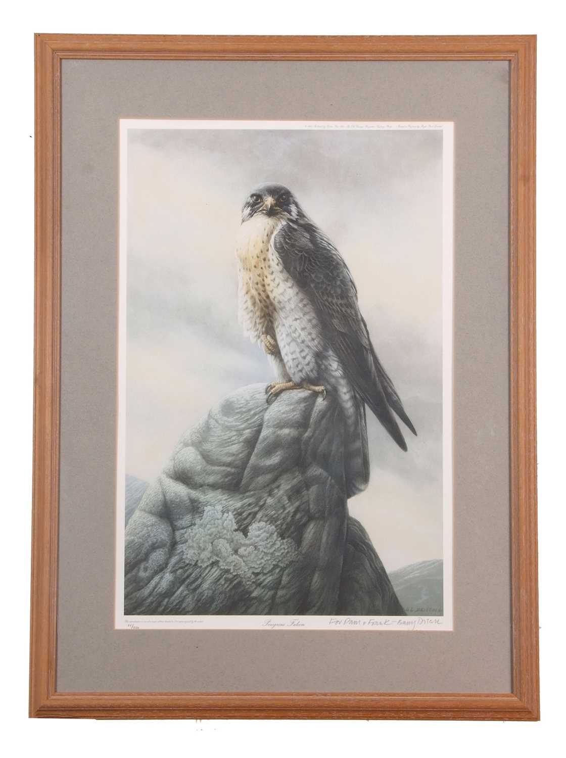 Barry Driscoll (British, 1926-2006), 'Peregrine Falcon', limited edition chromolithograph,