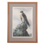 Barry Driscoll (British, 1926-2006), 'Peregrine Falcon', limited edition chromolithograph,